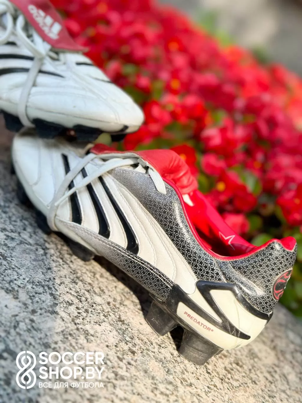 Adidas Predator Absolute TRX