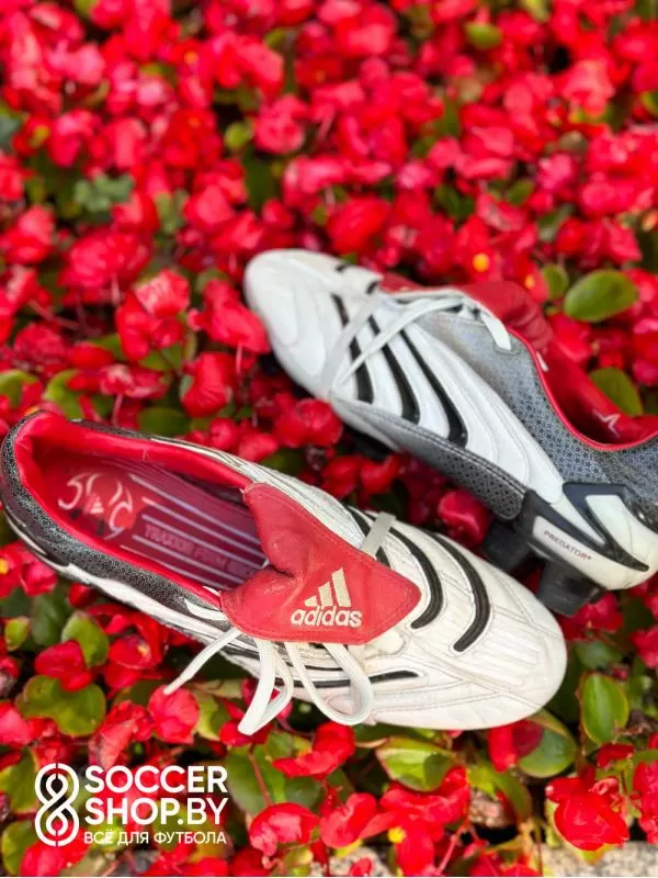 Adidas Predator Absolute TRX