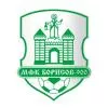 МФК Борисов