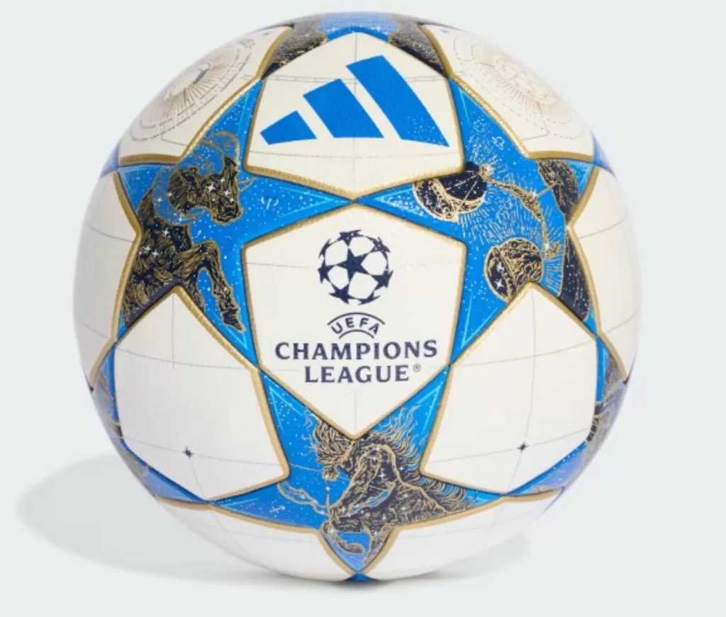 Мяч профессиональный Adidas Finale UCL 25/26 Competition