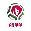 Белорусская федерация футбола