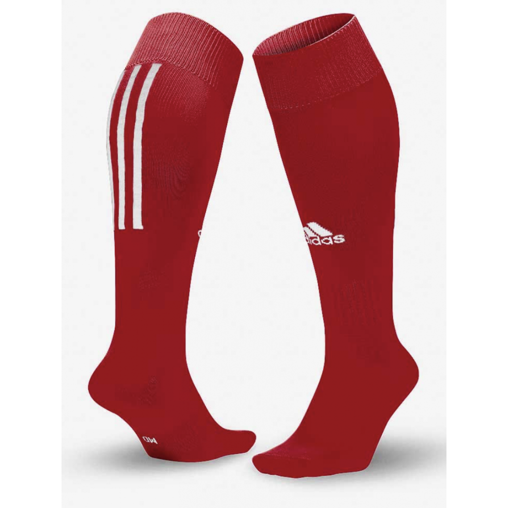 Футбольные гетры Adidas Santos 18 Socks