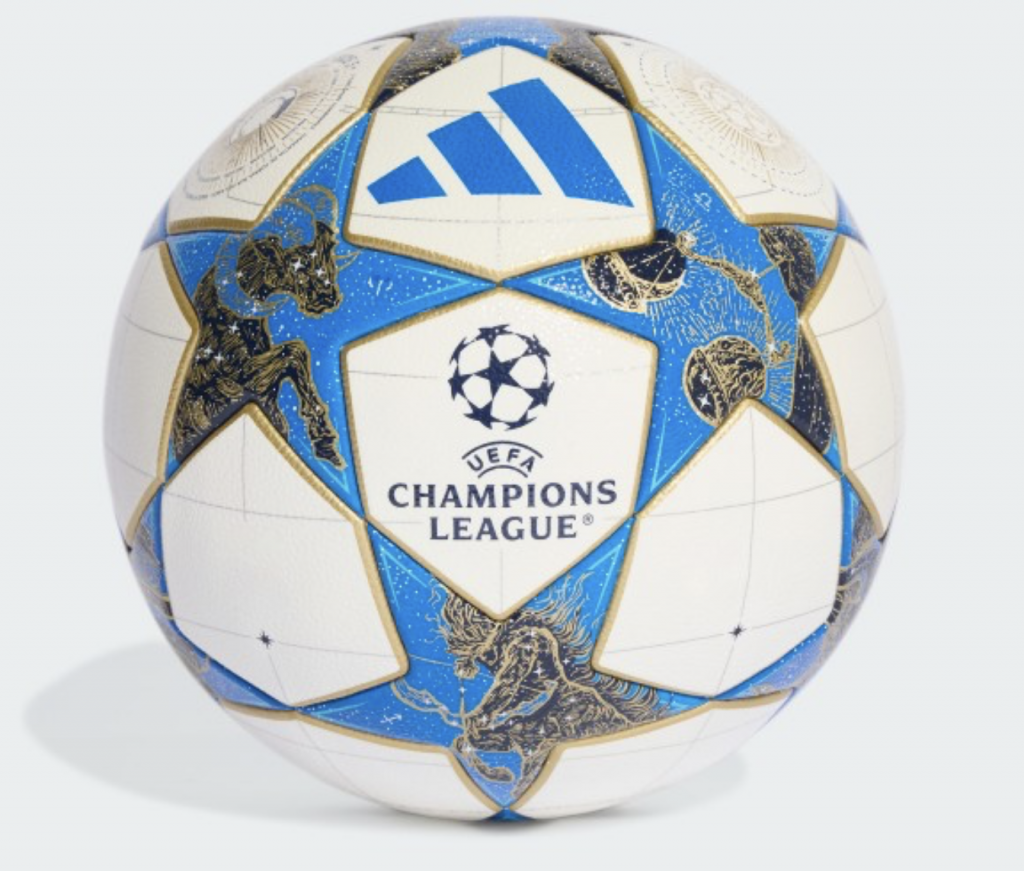 Мяч профессиональный Adidas Finale UCL 25/26 Competition
