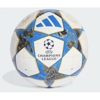 Мяч профессиональный Adidas Finale UCL 25/26 Competition