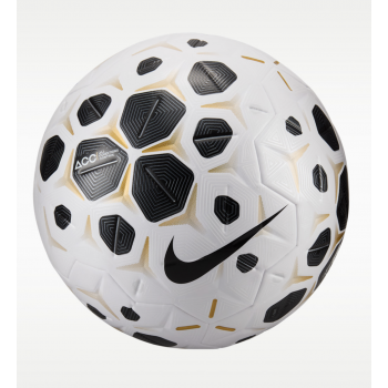 Мяч профессиональный Nike Control Pro Ball