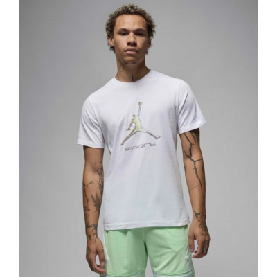 Футболка Nike Jordan Sport T Shirt