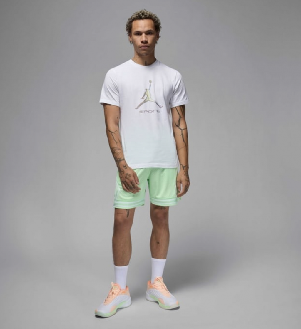 Футболка Nike Jordan Sport T Shirt