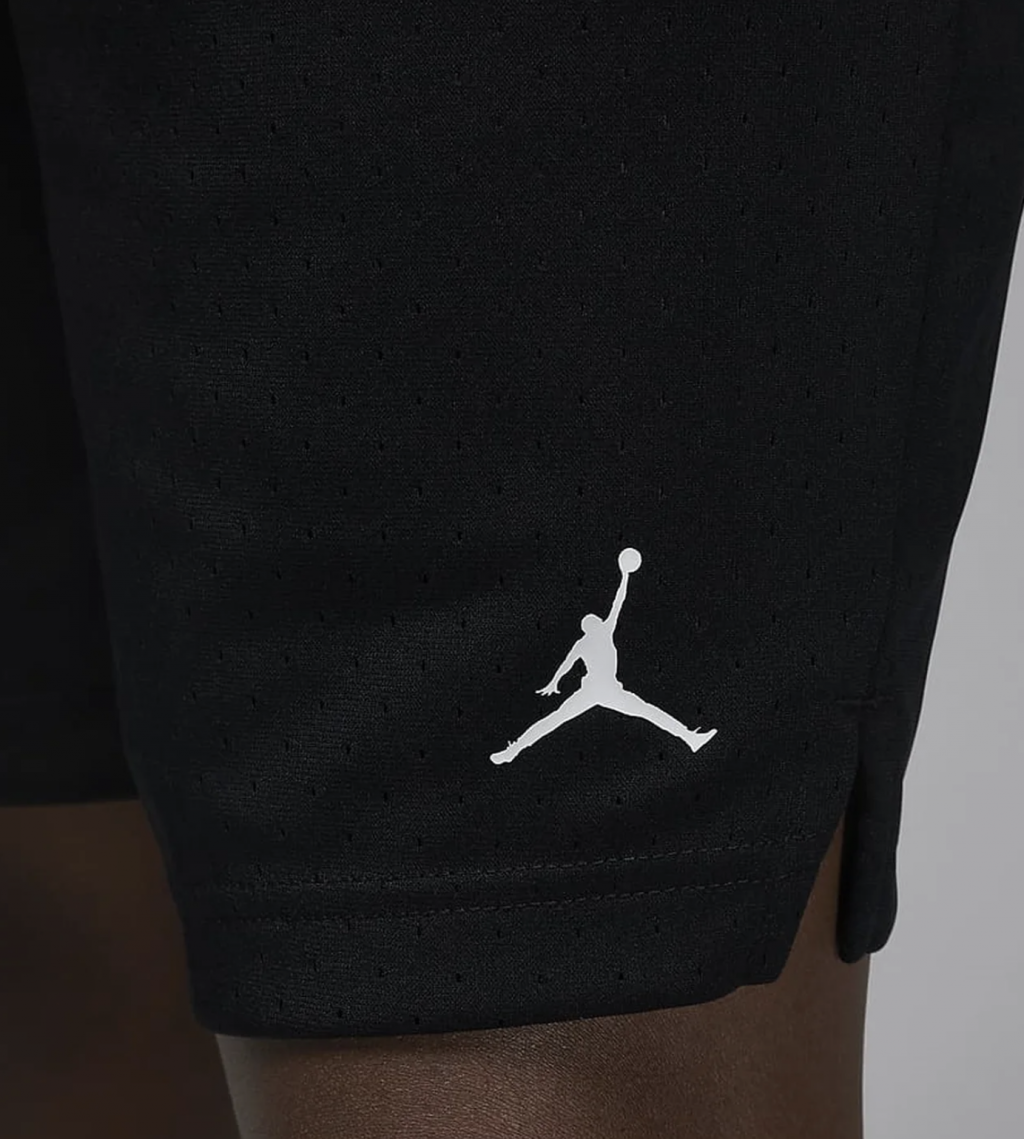 Шорты Nike Jordan Sport Short