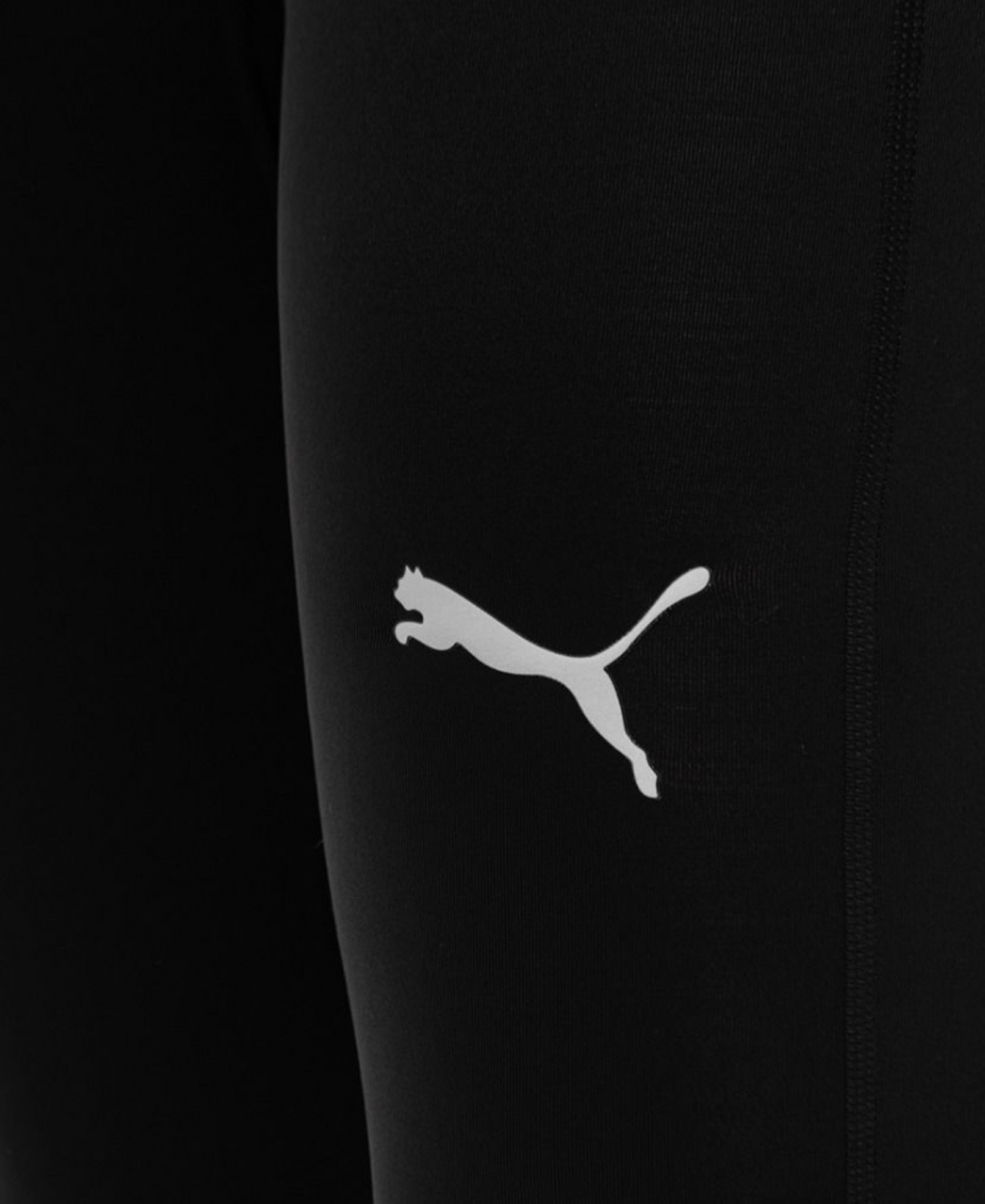 Штаны термоактивные Puma Liga Baselayer Pants