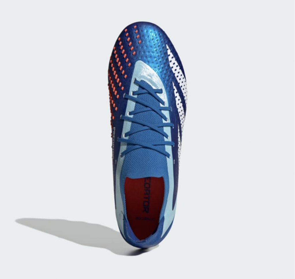 Буты профессиональные Adidas Predator Accuracy.1 AG