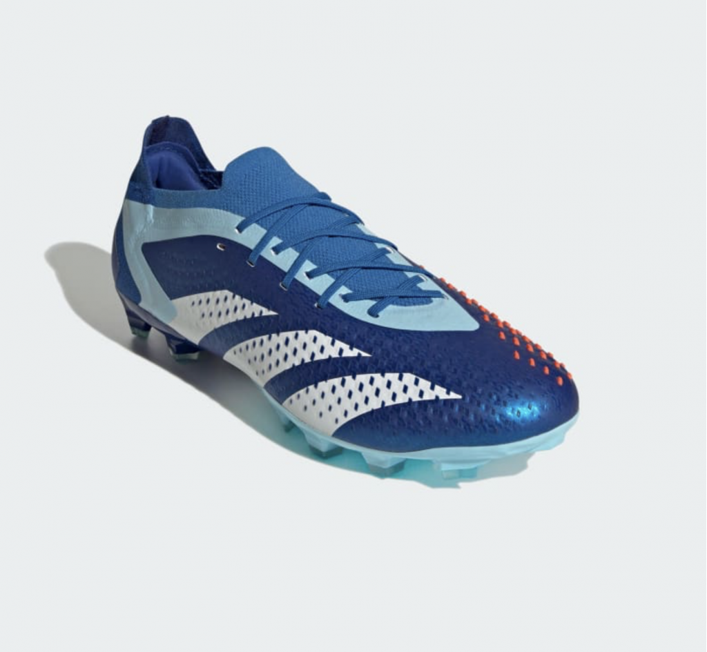 Буты профессиональные Adidas Predator Accuracy.1 AG