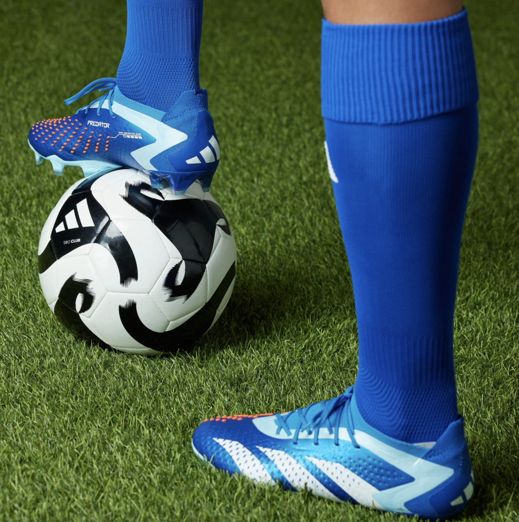 Бутсы профессиональные Adidas Predator Accuracy.1 L FG