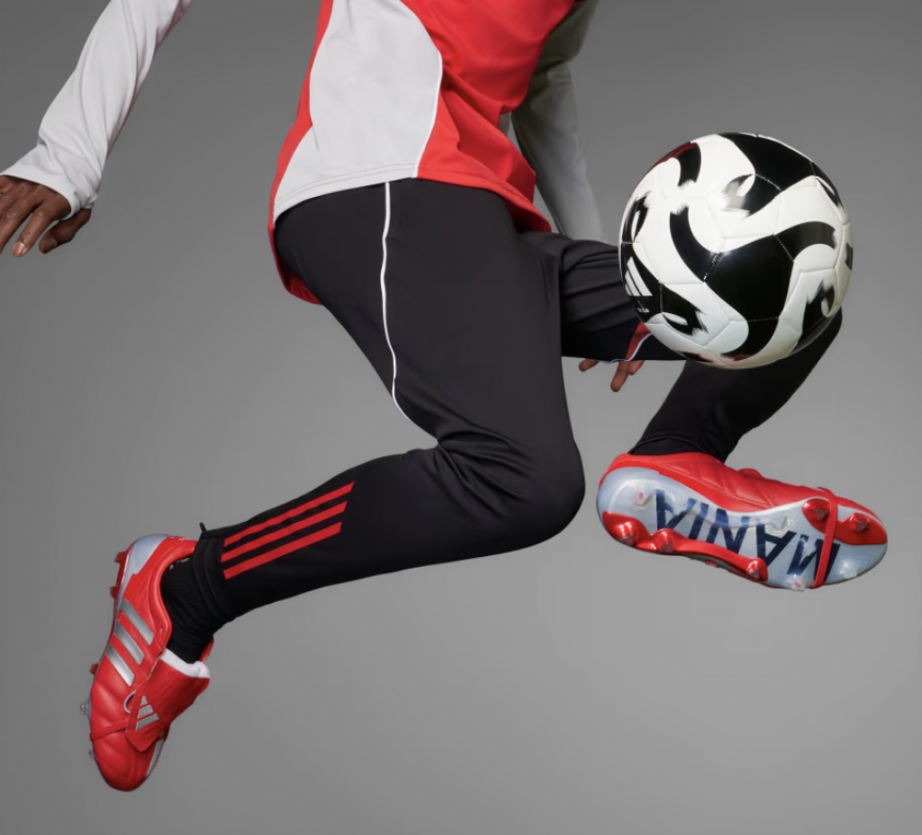 Бутсы профессиональные Adidas Predator Mania Limited Edition FG