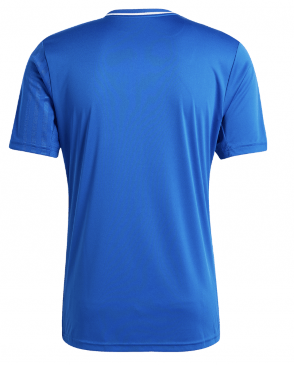 Футболка игровая Adidas Campeon 25 Jersey