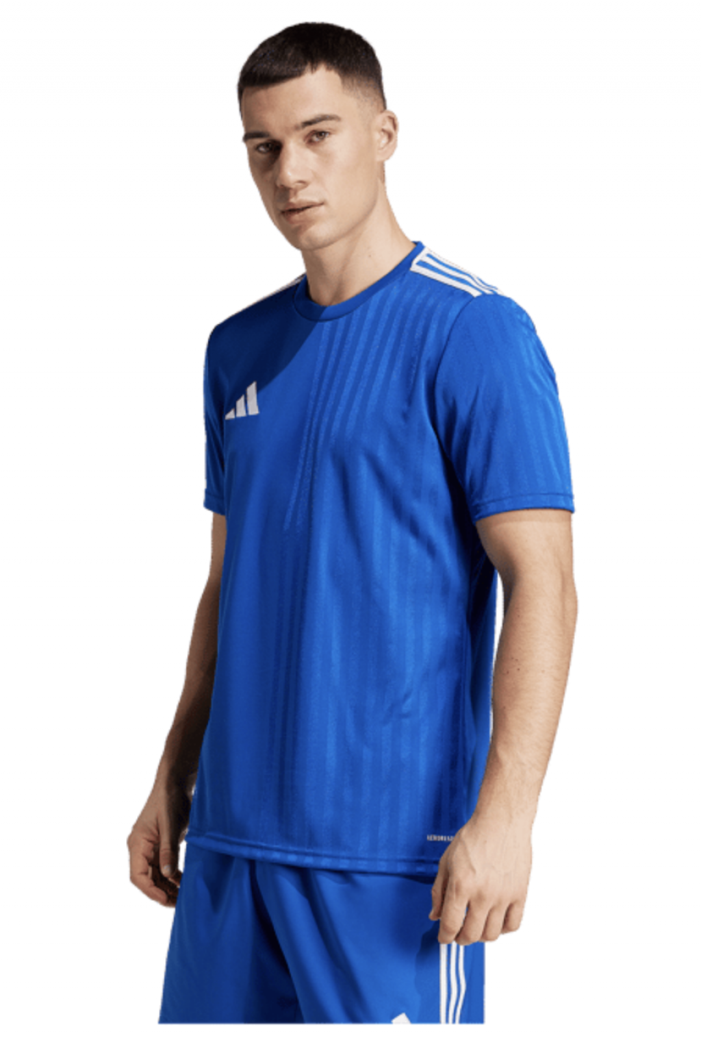 Футболка игровая Adidas Campeon 25 Jersey