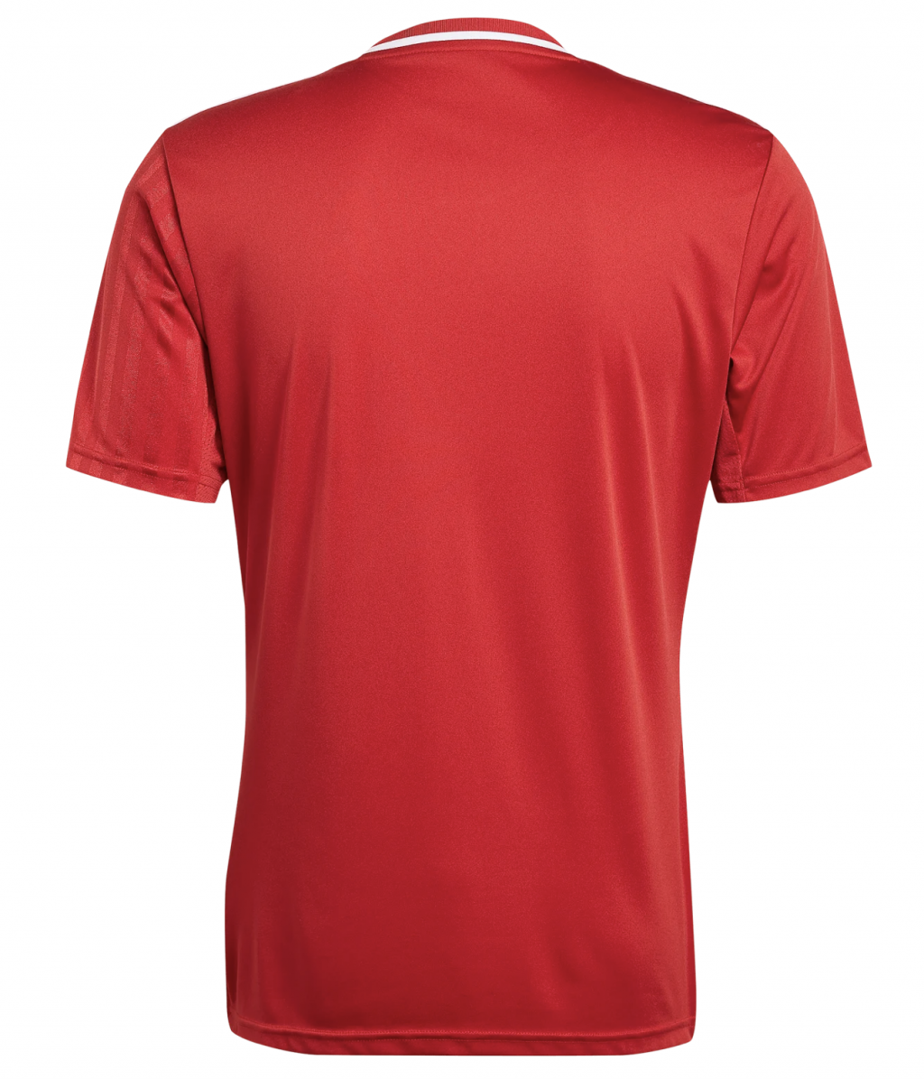 Футболка игровая Adidas Campeon 25 Jersey