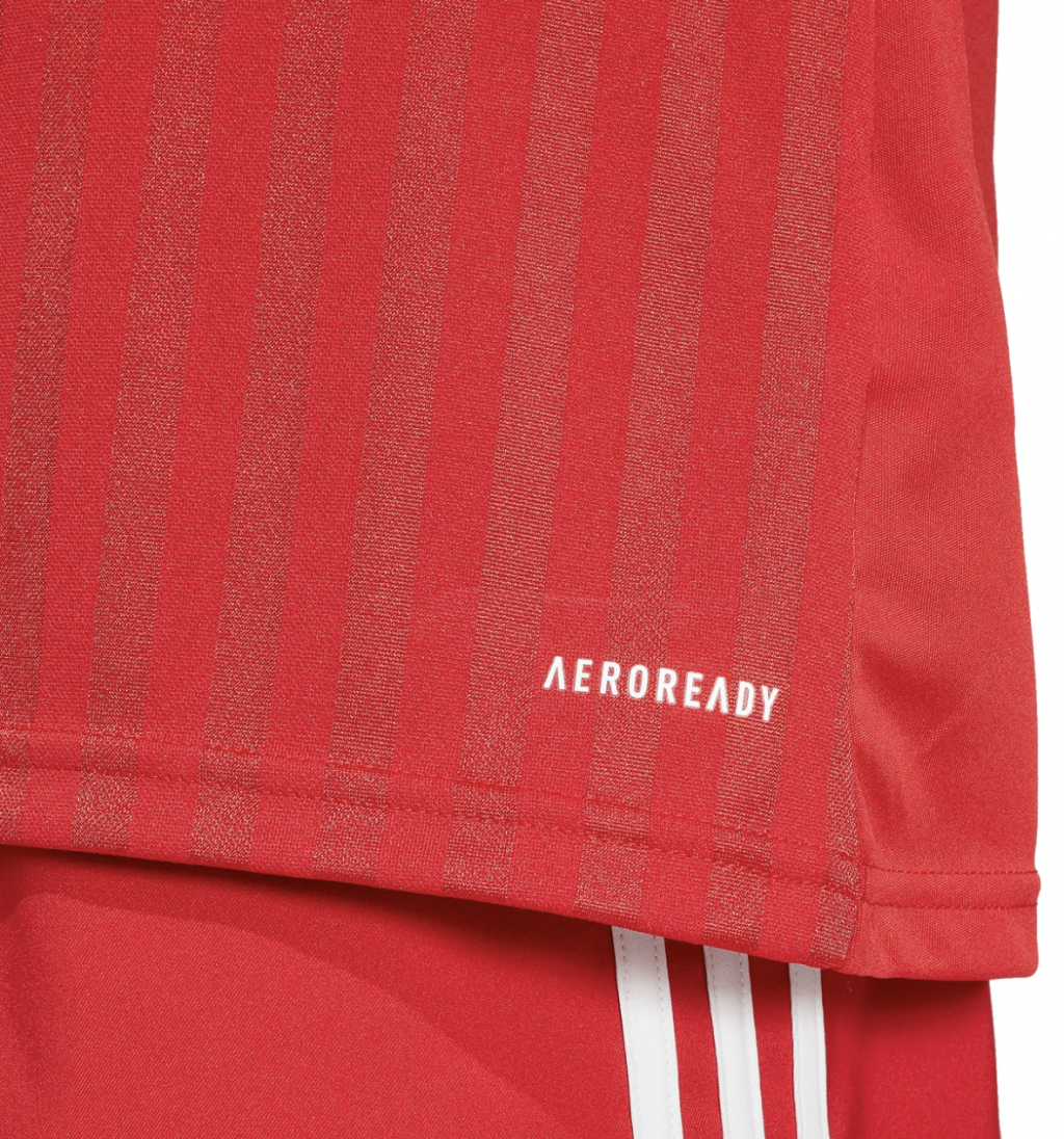 Футболка игровая Adidas Campeon 25 Jersey