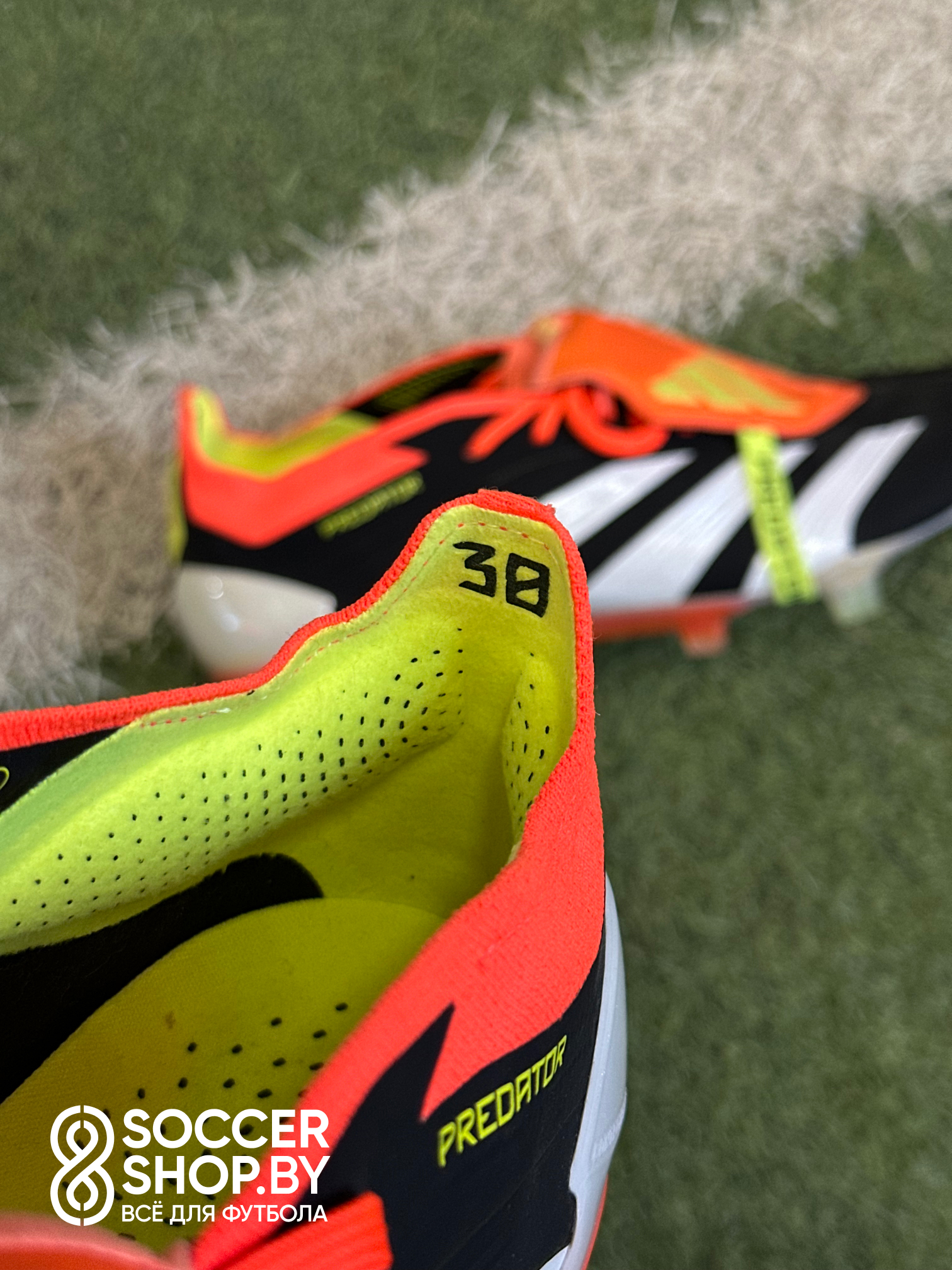 Adidas Predator 24  Solar Energy